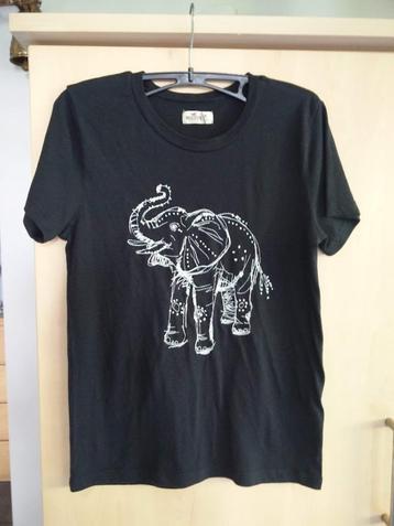 Tshirt Hollister  en  Tshirt NIKE.   maat M. beschikbaar voor biedingen