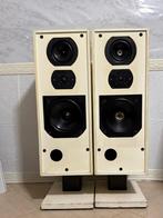 B&W DM-2 MK II BOWERS et WILKINS Haut-parleurs, Ophalen of Verzenden, Zo goed als nieuw, Bowers & Wilkins (B&W)