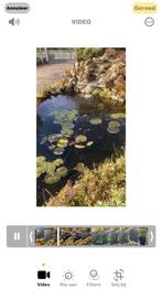 Alles van vijver, Tuin en Terras, Ophalen, Gebruikt