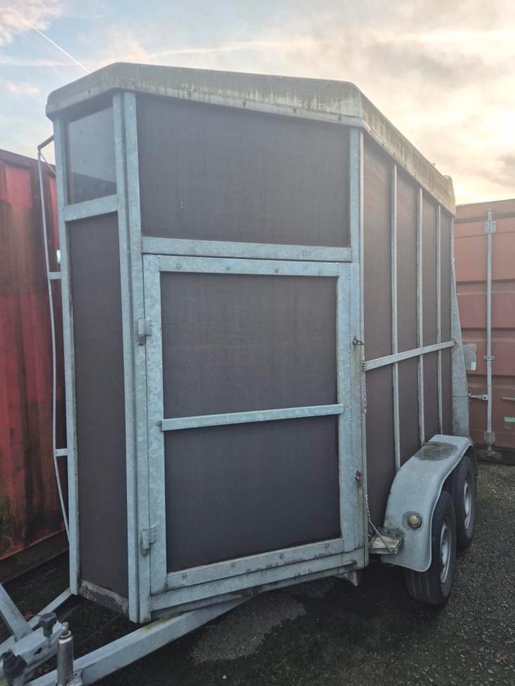 Van chevaux à vendre, Dieren en Toebehoren, Paarden en Pony's | Trailers en Aanhangwagens