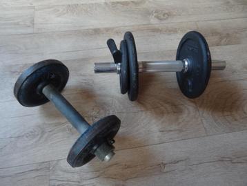 Halters en buikspierplank beschikbaar voor biedingen