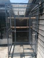Papegaaikooi, Dieren en Toebehoren, Vogels | Hokken en Kooien, Ophalen, Zo goed als nieuw