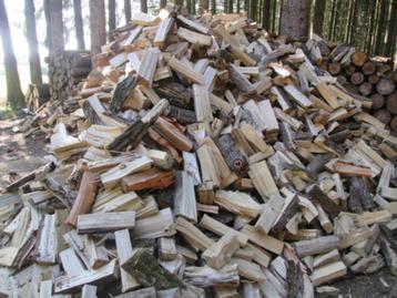 Bois de chauffage peuplier ou sapin douglas en 33 cm beschikbaar voor biedingen