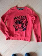 Sweater jongen River Woods M164-14 jaar, Kinderen en Baby's, Jongen, Trui of Vest, Ophalen of Verzenden, Zo goed als nieuw