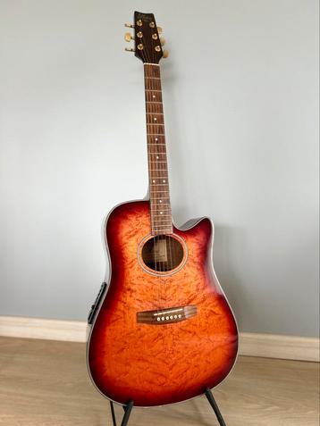 Alliance VP semi akoestische gitaar ‘90 beschikbaar voor biedingen