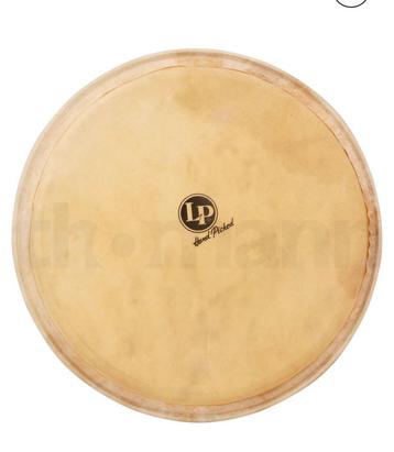Djembe Peau LP neuve 14 pouces., Musique & Instruments, Enlèvement