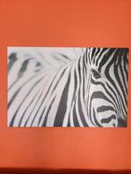 canvas Zebra IKEA, Ophalen