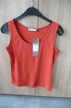 Oranje topje D'Auvry (K665), Kleding | Dames, Topjes, Nieuw, Oranje, Ophalen of Verzenden, D'Auvry