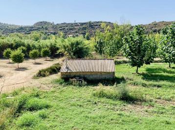 Finca à Mazaleón (Aragon, Espagne) - 1030