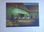 PROSPER COLPAERT / KOEIEN BOERDERIJ / KLEURLITHO / 57x76cm, Ophalen of Verzenden