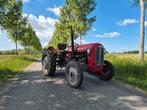 Massey Ferguson 35 ans, Articles professionnels, Agriculture | Tracteurs, Enlèvement, Massey Ferguson