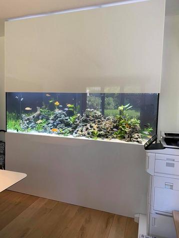 Aquarium disponible aux enchères