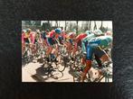 Foto Axel Merckx - CGER-ASLK-Merckx (1993), Collections, Envoi, Neuf, Affiche, Image ou Autocollant