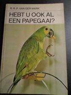papegaaien, Papegaai