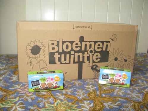 moestuin zaadjes, Tuin en Terras, Bloembollen en Zaden, Zaad, Volle zon, Ophalen of Verzenden