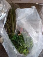 aquarium ornamenten en kunststof planten, Dieren en Toebehoren, Ophalen of Verzenden, Gebruikt, Plant(en), Steen of Hout