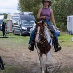 Merrie, Dieren en Toebehoren, Paarden, Minder dan 160 cm, 3 tot 6 jaar, Recreatiepaard, Merrie