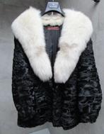 bontjas Astrakan met wolf kraag, Ophalen of Verzenden, Zo goed als nieuw, Maat 38/40 (M), Zwart