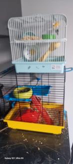 Hamsterkooien met hamsters, Dieren en Toebehoren, Ophalen, Zo goed als nieuw