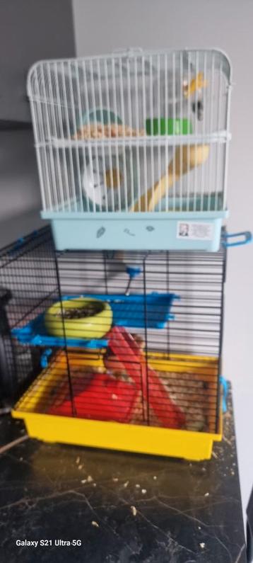 Hamsterkooien met hamsters, Enlèvement, Utilisé, Cage, Hamster