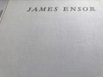Peintures et dessins de James Ensor 160, Livres, Art & Culture | Arts plastiques, Comme neuf, Enlèvement ou Envoi, Peinture et dessin