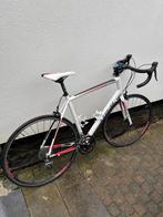 Racefiets - schoenen, Fietsen en Brommers, Gebruikt, Heren, Aluminium, 61 tot 65 cm