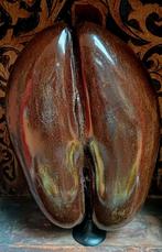 Amande en coco de mer farcie, Seychelles, intérieur, Enlèvement ou Envoi