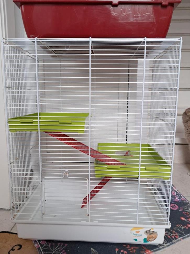 Kooi voor hamsters of andere kleine knaagdieren., Dieren en Toebehoren, Knaagdieren en Konijnen | Hokken en Kooien, Kooi, Ophalen