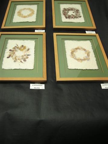 droogbloemen ingelijst beschikbaar voor biedingen
