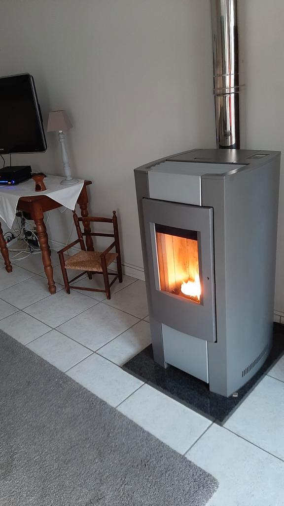 Pelletskachel, Maison & Meubles, Poêles, Enlèvement