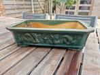 Prachtige groen geglazuurd chinese bonsai pot schaal, Tuin en Terras, Ophalen of Verzenden, Gebruikt