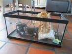 aquarium, Ophalen, Gebruikt