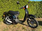 Honda SKY - klasse B - Originele staat, Fietsen en Brommers, Ophalen, 50 cc, Klasse B (45 km/u), Zo goed als nieuw