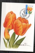 Année 2005 : Carte maximum 3406 - Tulipe orange - Buzin - Ob, Ophalen of Verzenden