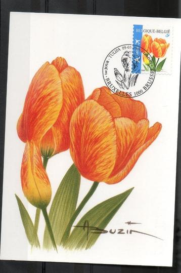 Année 2005 : Carte maximum 3406 - Tulipe orange - Buzin - Ob