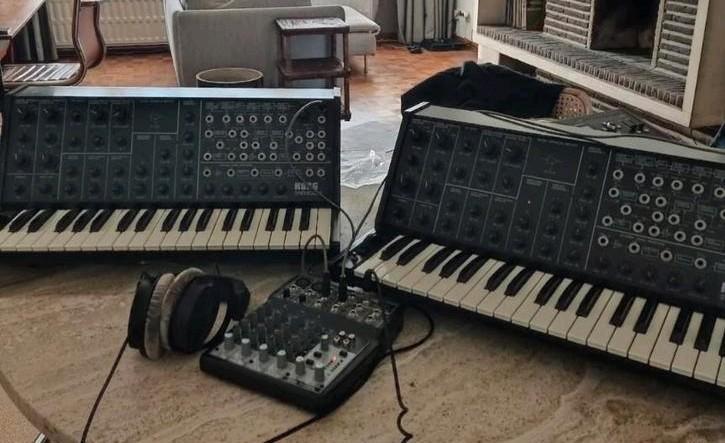 Korg MS-20 versie 1 (1978 ) en 2 (+/-1980), Muziek en Instrumenten, Synthesizers, Zo goed als nieuw, Korg, Ophalen of Verzenden