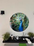 Glas schilderij pauw, Ophalen, Gebruikt