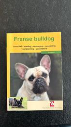 Franse bulldog, Ophalen of Verzenden, Zo goed als nieuw