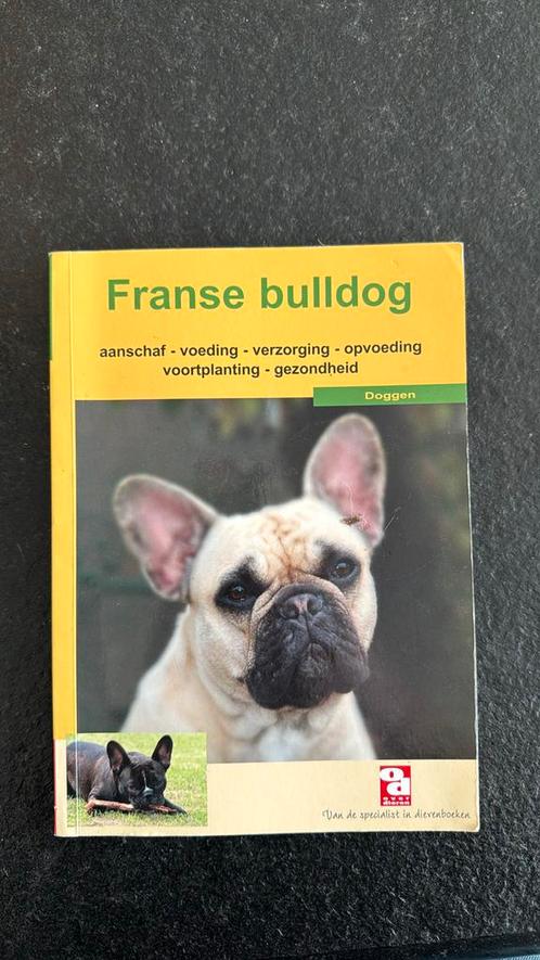 Franse bulldog, Boeken, Dieren en Huisdieren, Zo goed als nieuw, Ophalen of Verzenden