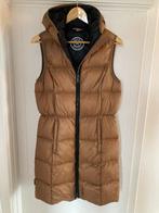 Body reset, Kleding | Dames, Bodywarmers, Ophalen of Verzenden, Zo goed als nieuw