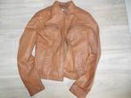 jasje JBC maat  XS, Kleding | Dames, JBC, Ophalen of Verzenden, Maat 34 (XS) of kleiner, Bruin