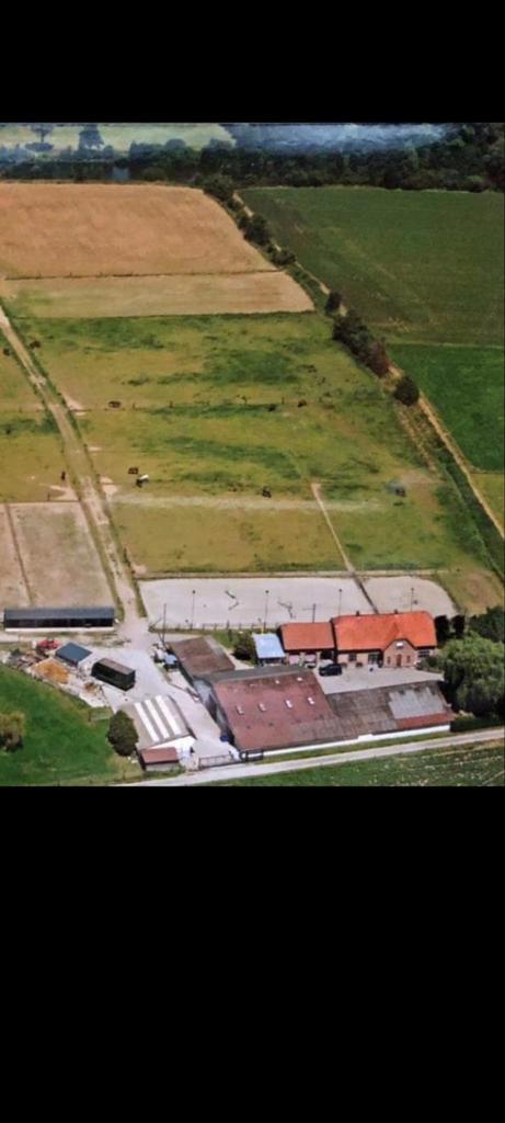 Pensionstalling in Deinze (Zulte) – 9 hectare winter paddock, Dieren en Toebehoren, Stalling en Weidegang, Stalling, Weidegang