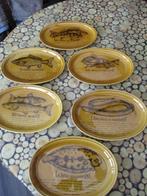 6 visborden met afbeelding vis + recept, Ophalen of Verzenden, Zo goed als nieuw, Bord(en)