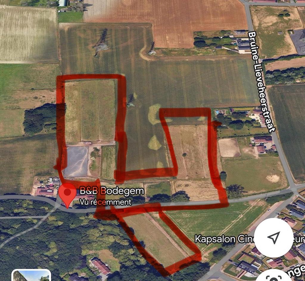 Weidepension - Dilbeek / Pension prairie - Dilbeek, Animaux & Accessoires, Box & Pâturages