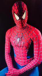 Spiderman replica kostuum ( amper gedragen), Hobby en Vrije tijd, Ophalen of Verzenden