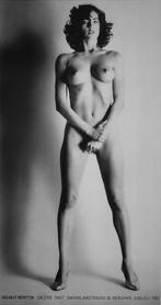 Helmut Newton - Big Nude, Envoi