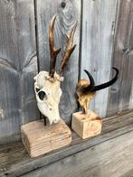 Setjes hoorns op houten sokkel, Ophalen, Gebruikt