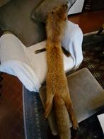 Vosje als bontstola, Ophalen