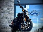 Harley-Davidson Street Rod 750, Naked bike, Plus de 35 kW, 749 cm³, Entreprise