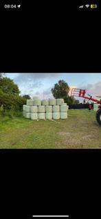 Midi balen hooi, Zakelijke goederen, Landbouw | Veevoer, Ophalen